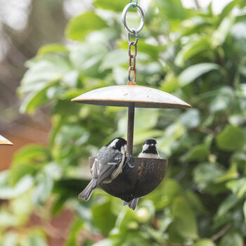 Outdoor Hanging Bird Feeder, 3 of 3