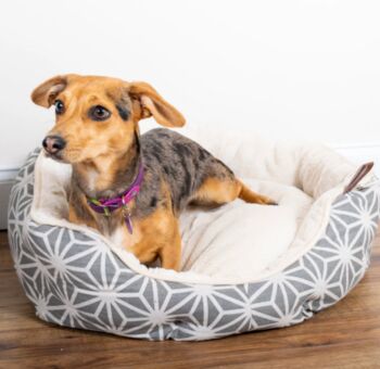 Luxury Grey Scalloped Pet Bed, 2 of 5
