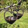 Set Of Two Cast Iron Heart Shaped Bird Seed Feeders, thumbnail 1 of 9