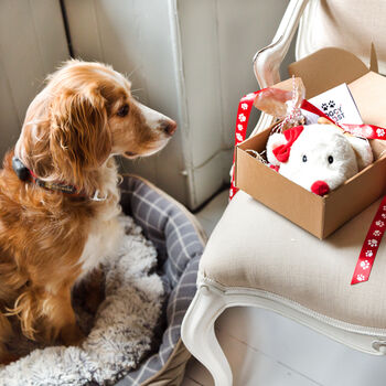 Dog Christmas Eve Box / Day Activity Gift Box, 3 of 8