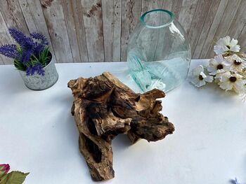 Molten Glass Driftwood Melted Glass Vase On Wood Base, 5 of 9