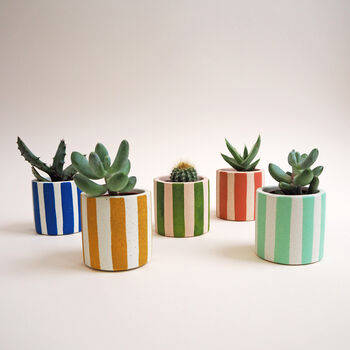 Mini Stripy Pot Choose Your Colours, 4 of 5