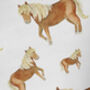 Shetland Pony Wrapping Paper, thumbnail 3 of 3