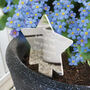Star Memorial Garden Planter And Forget Me Not Seeds, thumbnail 1 of 5