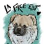 Personalised Pet Face Portrait, thumbnail 7 of 12