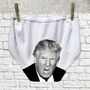 Kier Starmer Funny Underwear Political Gift, thumbnail 6 of 12
