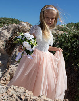 Anastasia In Blush ~ Party Or Flower Girl Dress, 8 of 8