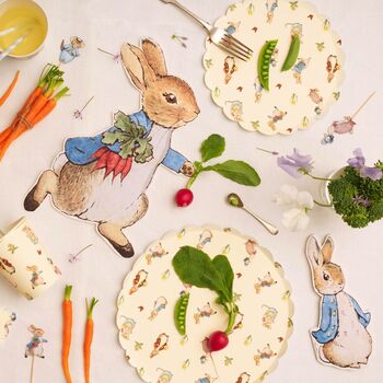 Peter Rabbit™ And Friends Large Party Plates X 12, 3 of 3