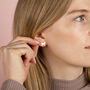 Chihuahua Sterling Silver Stud Earrings, thumbnail 1 of 7