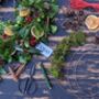 Classic Christmas Diy Wreath Making Kit, thumbnail 1 of 7