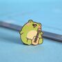 Frog Playing Guitar Enamel Pin, thumbnail 1 of 5