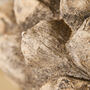 Carved Woodland Pinecone Ornament, thumbnail 4 of 4