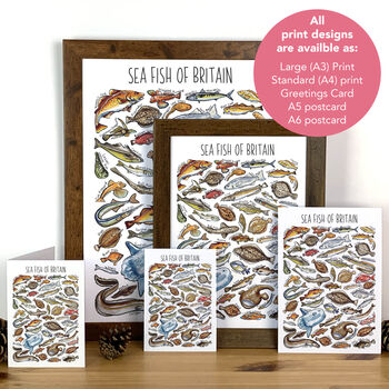 Sea Fish Of Britain Wildlife Print, 4 of 8