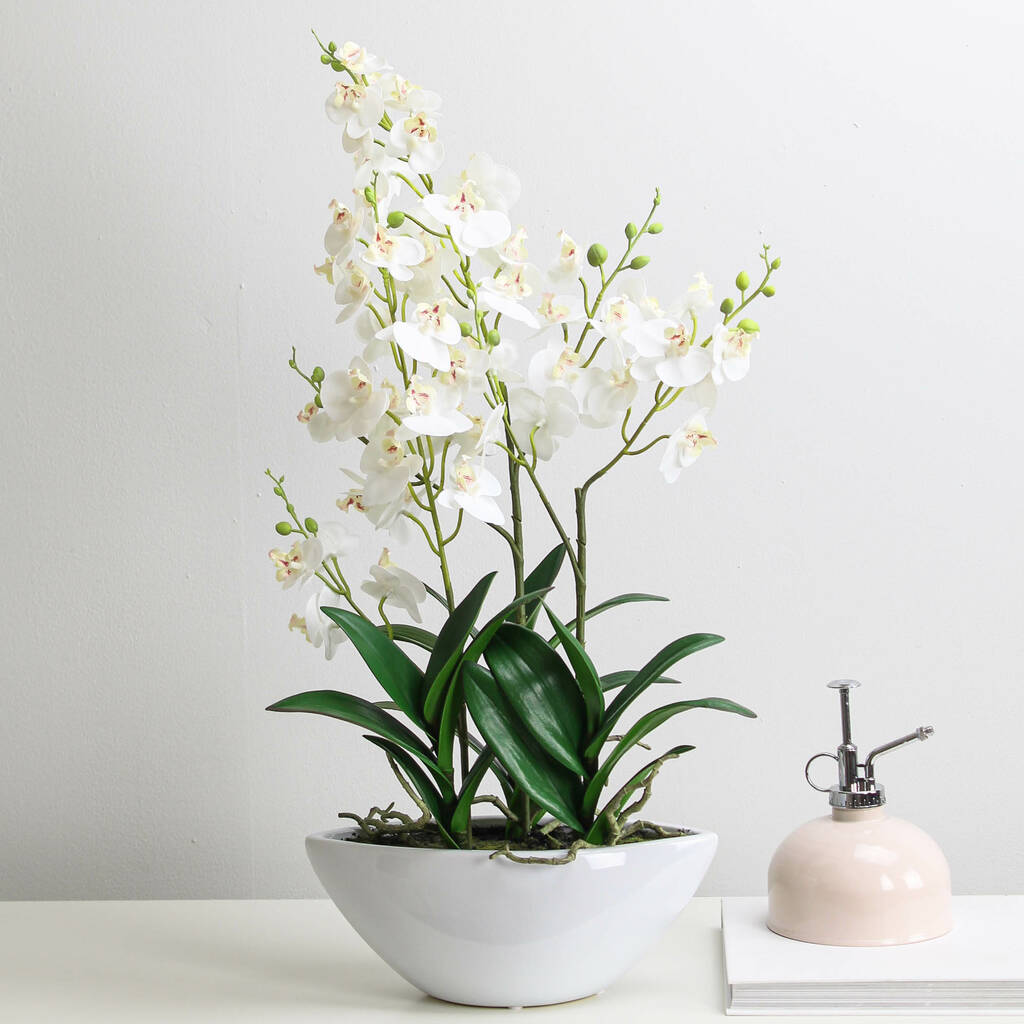 artificial white orchid in white ceramic planter by marquis & dawe