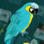 Macaw Greetings Card, thumbnail 2 of 2