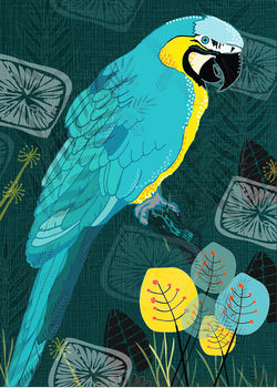 Macaw Greetings Card, 2 of 2