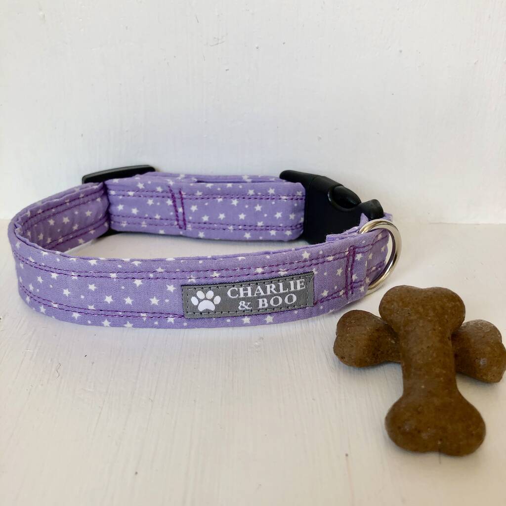 cool boy dog collars