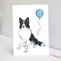 Border Collie Birthday Card | Border Collie Card, thumbnail 1 of 4