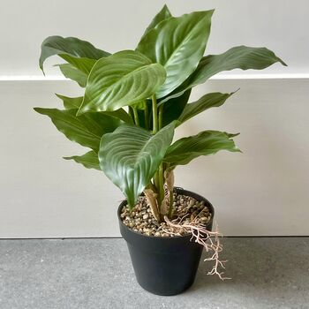 Artificial Fishbone Plant In Pot, 2 of 4
