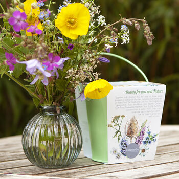 Grow Your Own Wildflower Bouquet And Vase Gift Set, 12 of 12