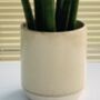 Glass Effect Natural Ceramic Planter / Plant Pot, thumbnail 2 of 4