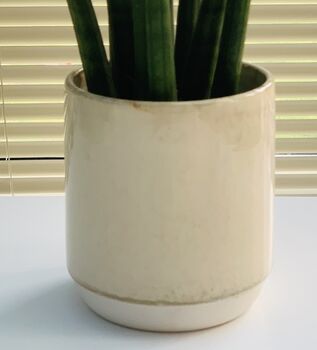 Glass Effect Natural Ceramic Planter / Plant Pot, 2 of 4