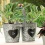Personalised 10th Anniversary Plant Pot Bucket Gift, thumbnail 1 of 9