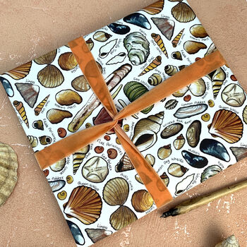 Seashells Of Britain Wrapping Paper Set, 2 of 7