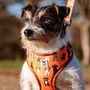 Orange Cartoon Adjustable Dog Harness, thumbnail 1 of 12