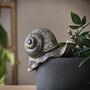 Gold Snail Pot Hanger, thumbnail 2 of 2