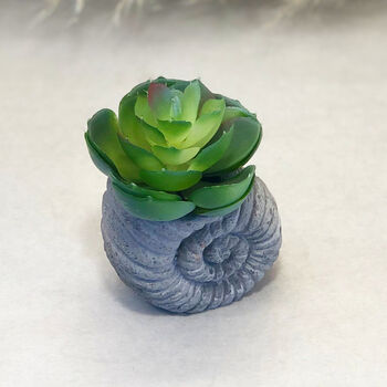Faux Succulent In Handmade Ammonite Shell Pots, 5 of 9