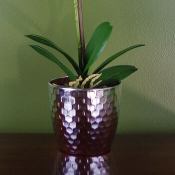 Pink Orchid Artificial Dark Silver 50cm Real Touch, 3 of 3