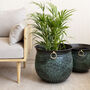 Brass Planter Large Engraved Distressed For Indoor Use, thumbnail 1 of 8