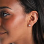 Sterling Silver Ginkgo Leaf Earrings In Gift Box, thumbnail 8 of 8