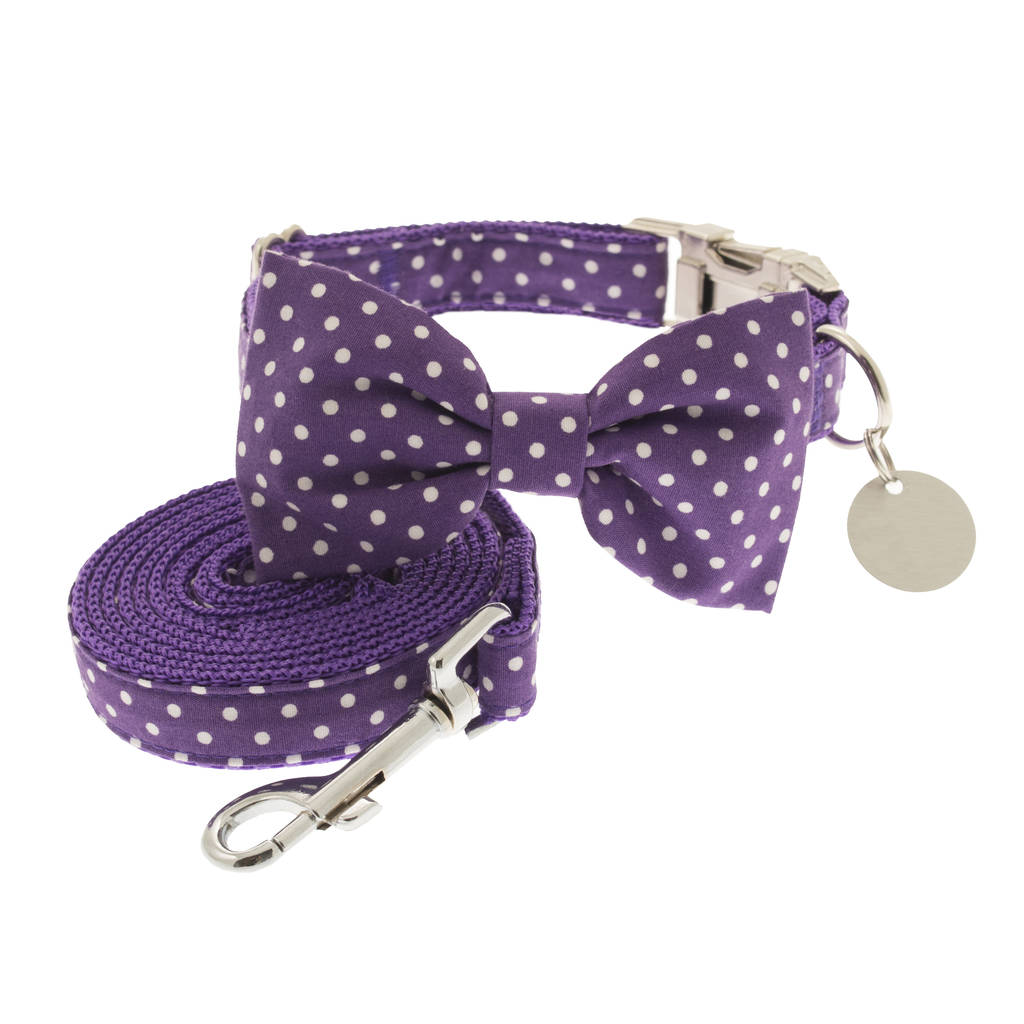 purple polka dot bow tie dog collar by dober & dasch