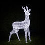 One.6m Swinsty Stag Dual Colour LED Light Up Reindeer, thumbnail 1 of 3