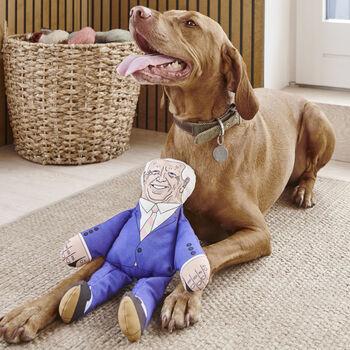 Joe Biden Parody Dog Toy, 6 of 9