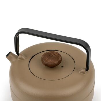 Cast Iron Teapot 750ml With Stainless Steel Fine Filter, 8 of 9