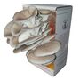 Ready To Grow Oyster Mushroom Growing Kit, thumbnail 4 of 9