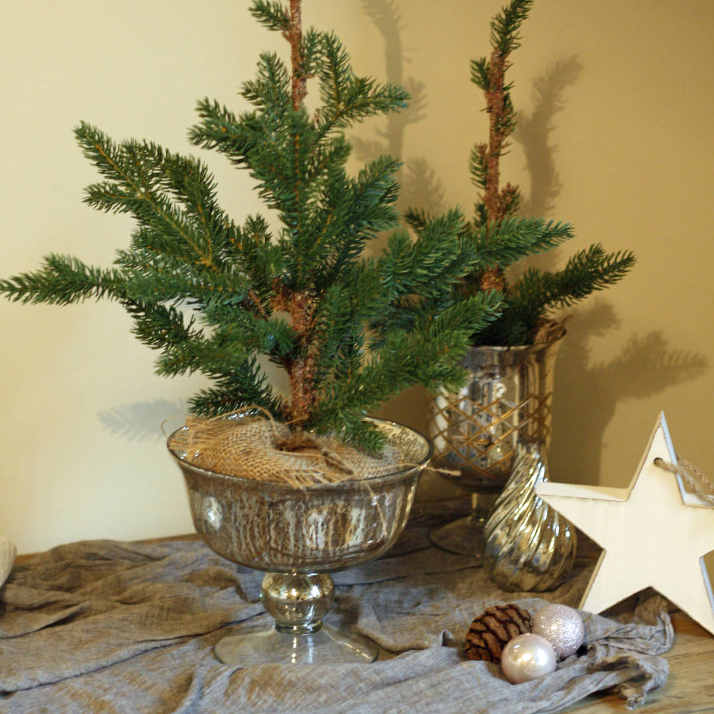 Faux Christmas Trees For Tables / Desks Hessian Base By The Wedding of
