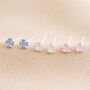 Swarovski Crystal Stud Earrings, thumbnail 9 of 10