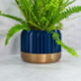 Midnight Trilinear Planter, thumbnail 4 of 4