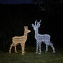 Outdoor Battery Dual LED Stag And Doe Christmas Figures, thumbnail 4 of 4