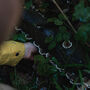 Winter Foraging Walk For One In The South Downs, thumbnail 10 of 12