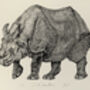 J Is For Javan Rhino Illustration Print, thumbnail 4 of 7