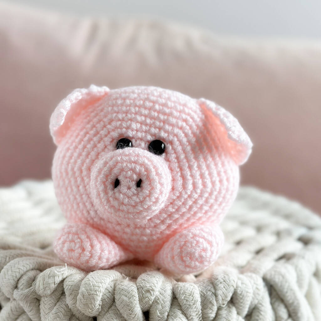 Piggy Crochet Kit, 1 of 5