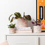 Rainbow Handmade Terrazzo Indoor Planter Medium, thumbnail 5 of 6