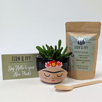 Plant Your Own Succulent Kit With Frida Pot, 3 of 5