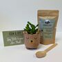 Plant Your Own Succulent Kit With Bear Pot, thumbnail 2 of 5