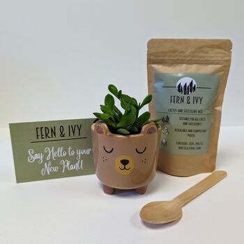Plant Your Own Succulent Kit With Bear Pot, 2 of 5
